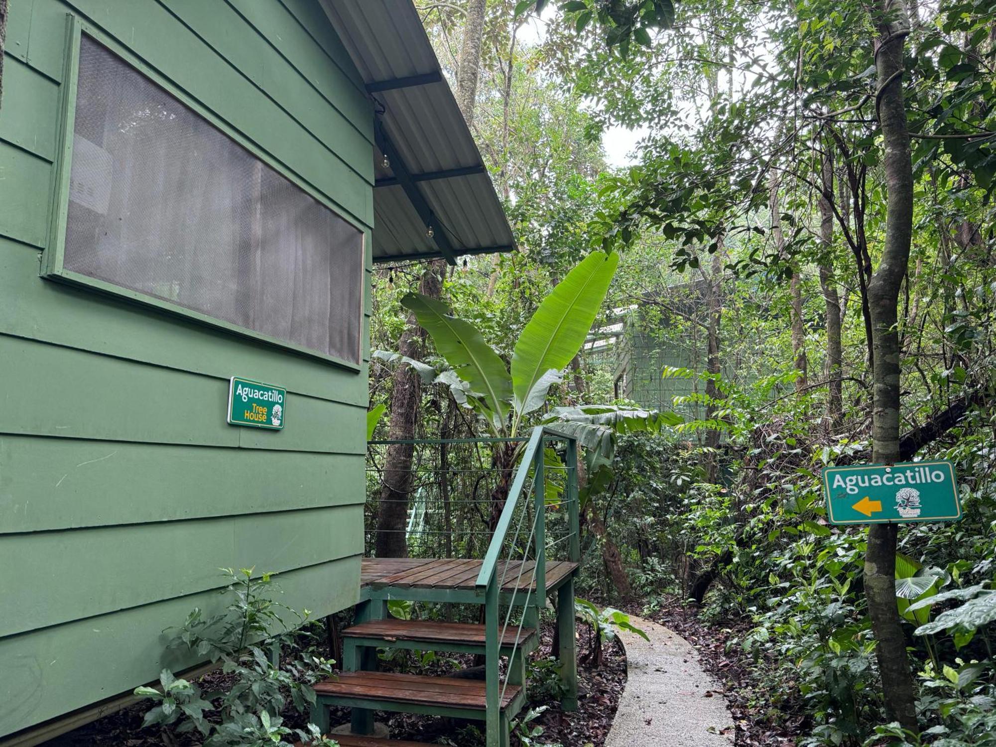 Tree House Bosque Nuboso Monteverde Exterior photo