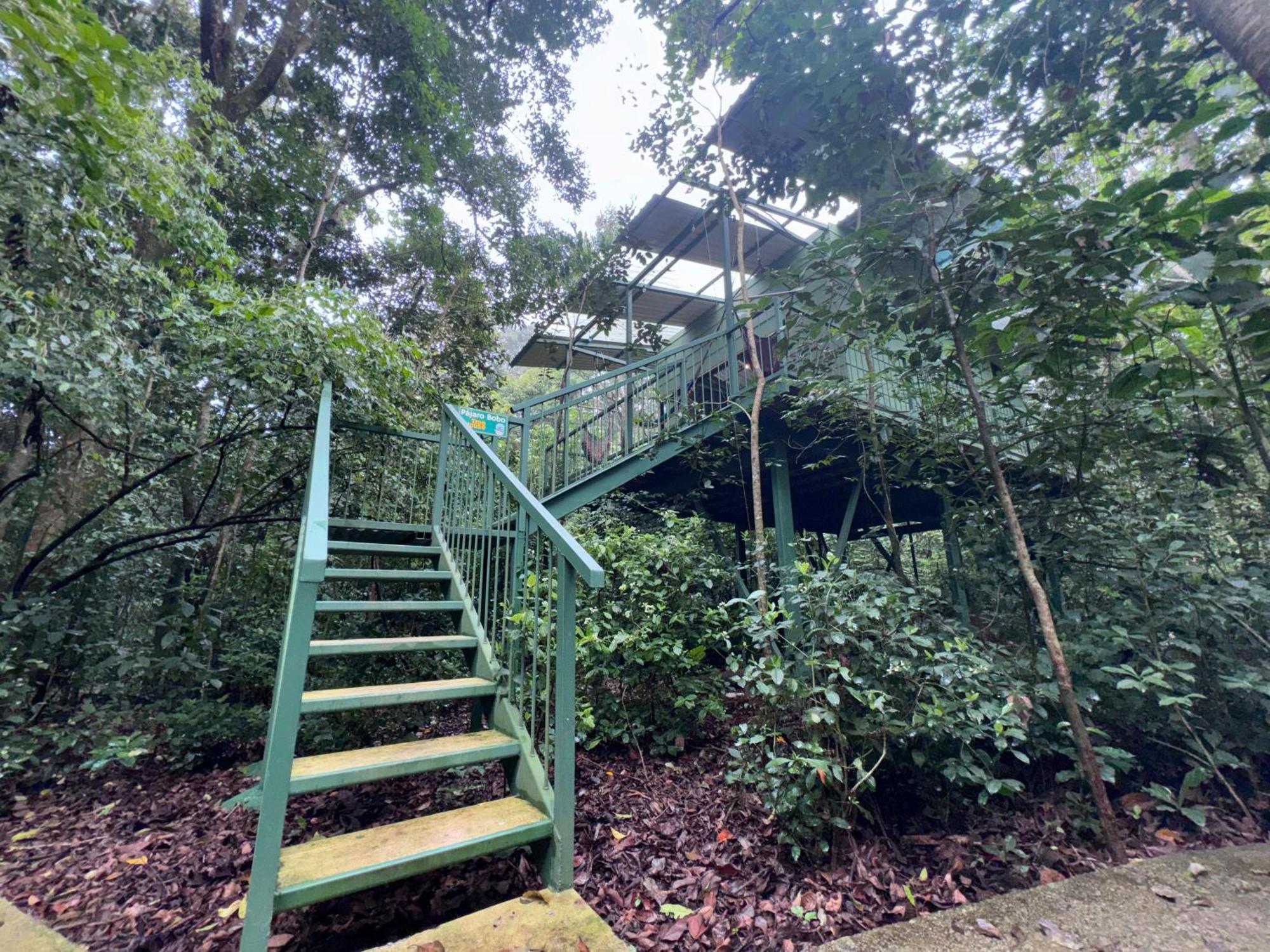 Tree House Bosque Nuboso Monteverde Exterior photo